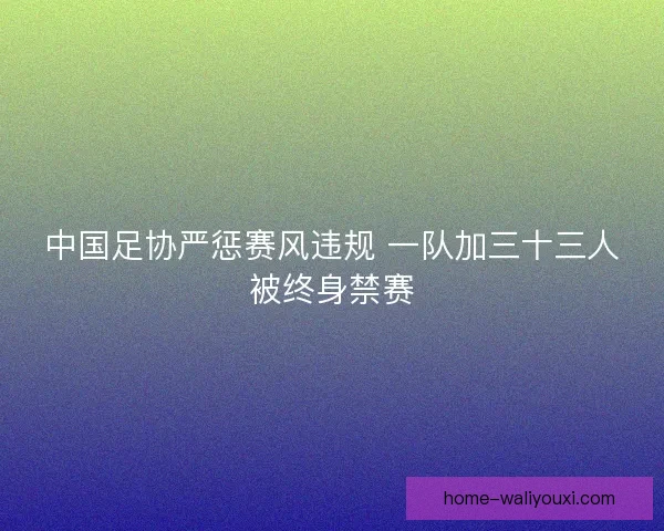 中国足协严惩赛风违规 一队加三十三人被终身禁赛